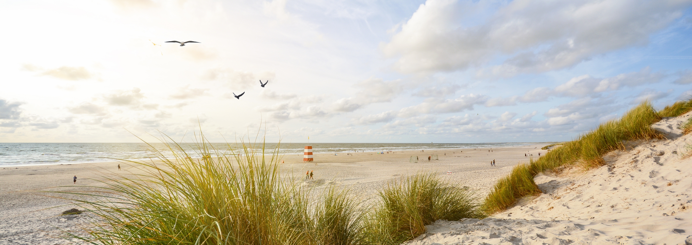 Kopen - Immo Koksijde, uw toegewijde vastgoedpartner