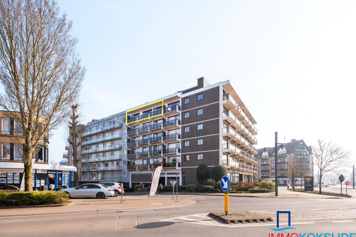 Zandroos I 05.01 Koksijde