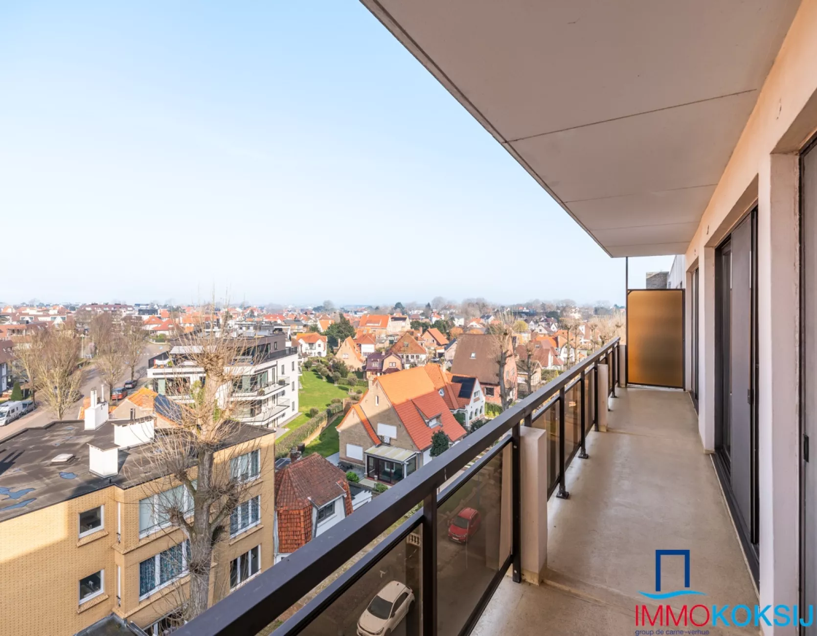 Zandroos I 05.01 Koksijde