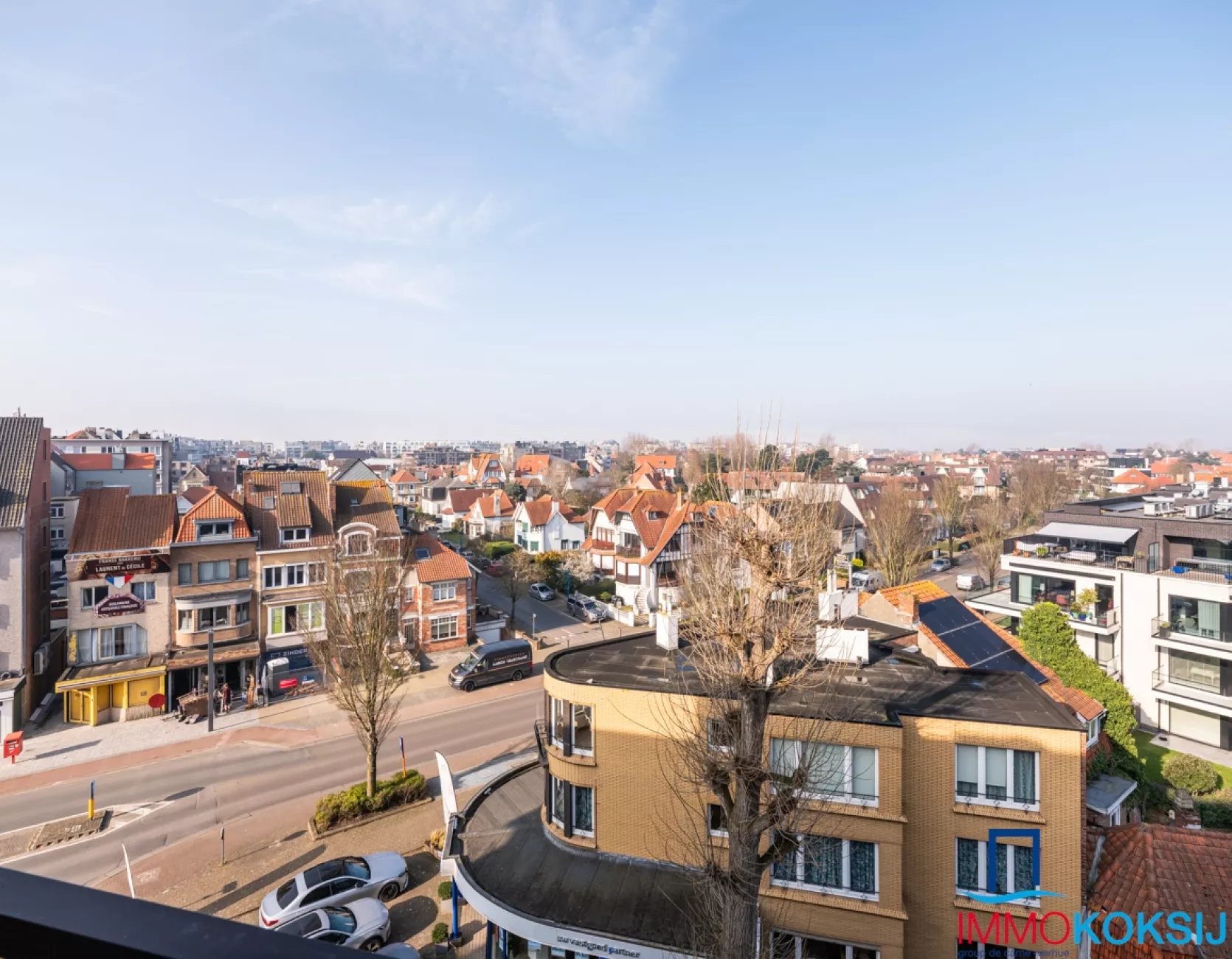 Zandroos I 05.01 Koksijde